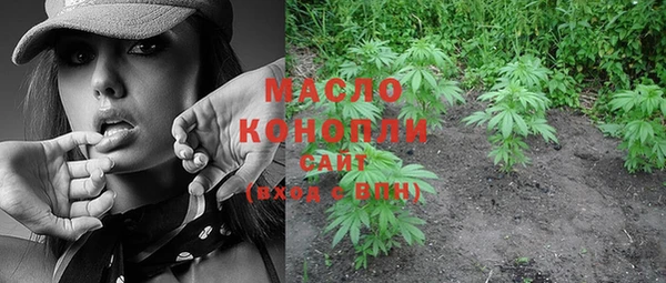 гидра Белокуриха