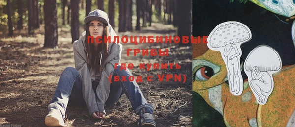 крисы Балахна