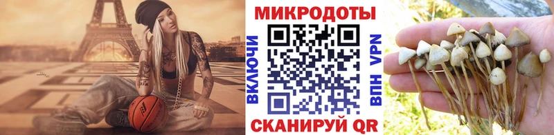 Галлюциногенные грибы Psilocybe  где можно купить   Верхнеуральск 